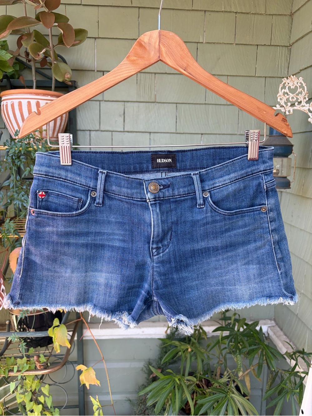 Hudson Amber Raw Edge Hem Short